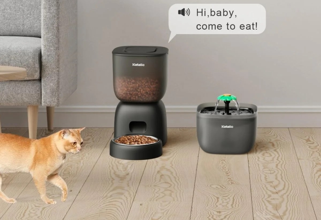 Top 5 Smart Automatic Cat Feeders for Your Feline Friends – The best on Amazon
